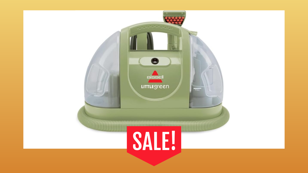 Do you NEED this TikTok famous cleaner? : Bissell Little Green