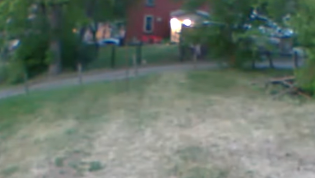 Bear sighting in Greensburg, Westmoreland County - Vimarsana News