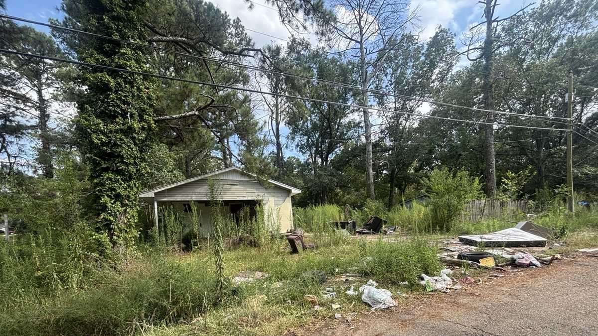 Jackson officials call for crisis declaration to address blight