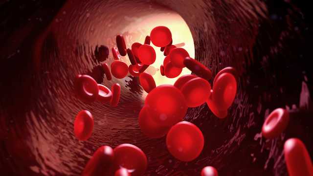 Baltimore-area blood drives scheduled in September - Vimarsana News