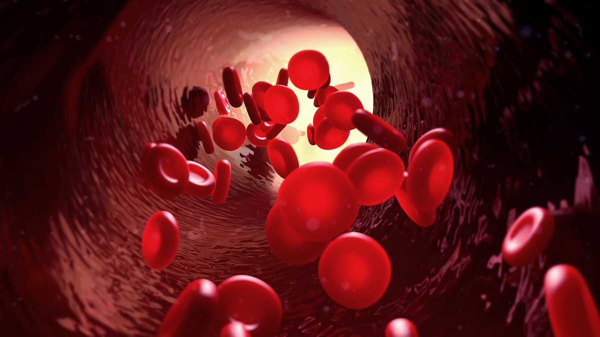 Bei Frauen besteht zu bestimmten Zeiten ein höheres Risiko für Blutgerinnsel