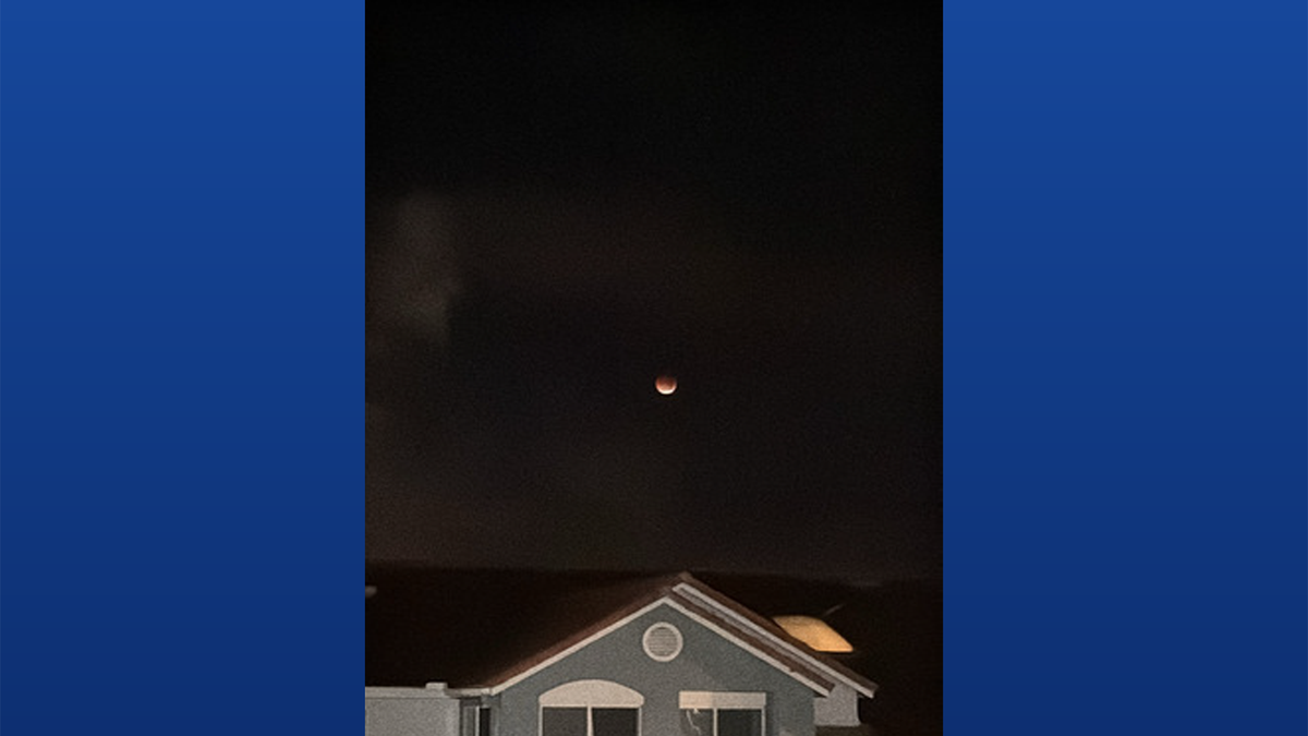 Photo Gallery: Total Lunar Eclipse over South Florida | March 3, 2026