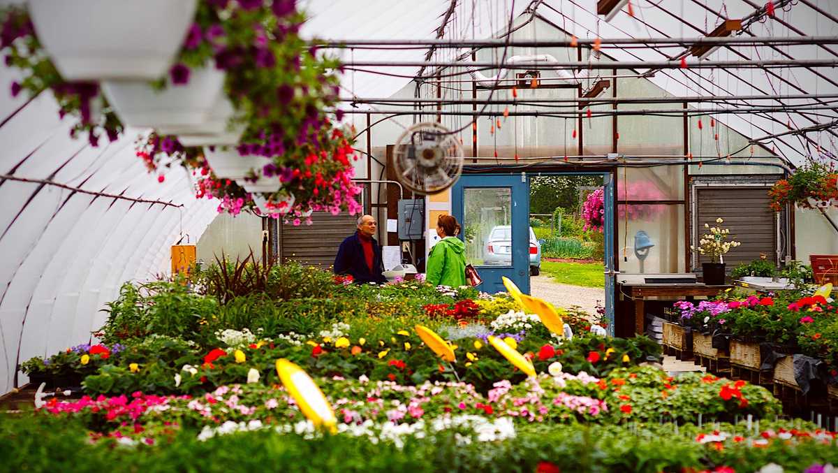 Viewers' Choice 2017 Best garden center