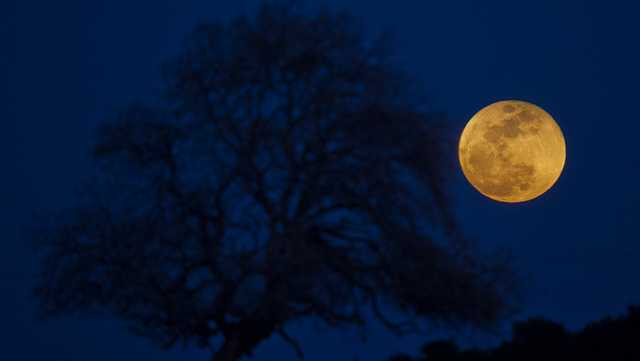 South Carolina: August sky show sure to wow stargazers - Vimarsana News