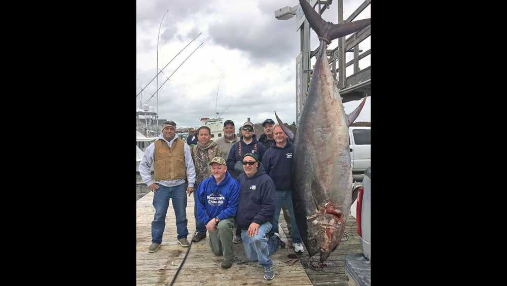 Retired general catches record 877pound bluefin tuna off NC coast