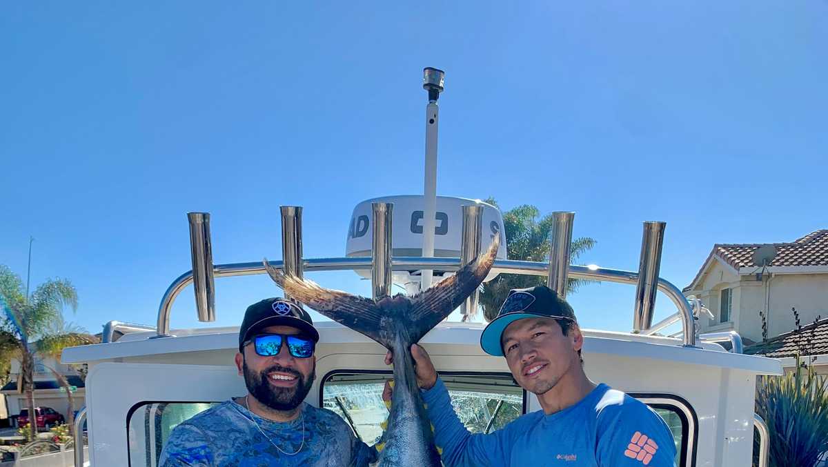 A catch of a lifetime': Fishermen reel in a 220-pound bluefin tuna in  Monterey