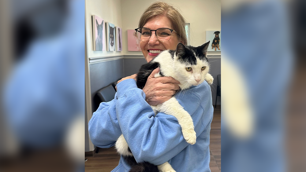 Woman reunited with missing cat after 4 years thanks to microchip