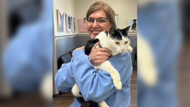 South Carolina woman reunited with missing cat after 4 years - Vimarsana News