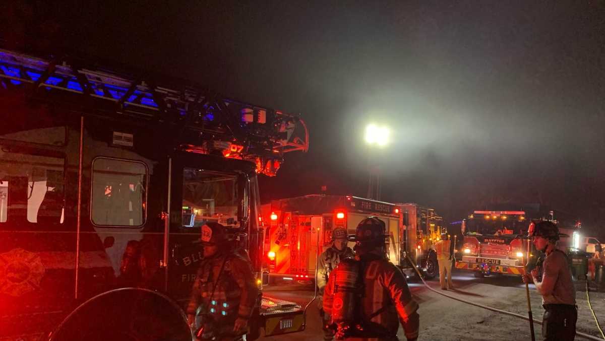 Days before Christmas, family pet killed in Bluffton house fire, family