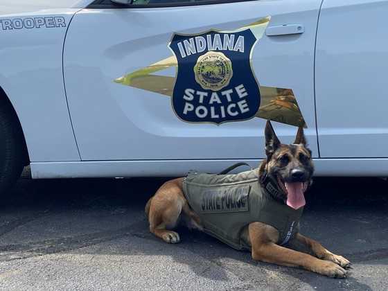Passaic County police dogs get new body armor to collar criminals