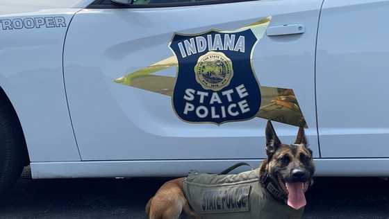 Indiana police K9 Officer Bo gifted bullet, stab proof vest