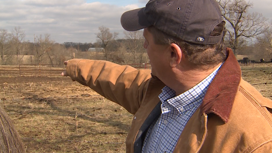 Bob Shofner, an Arkansas cattleman