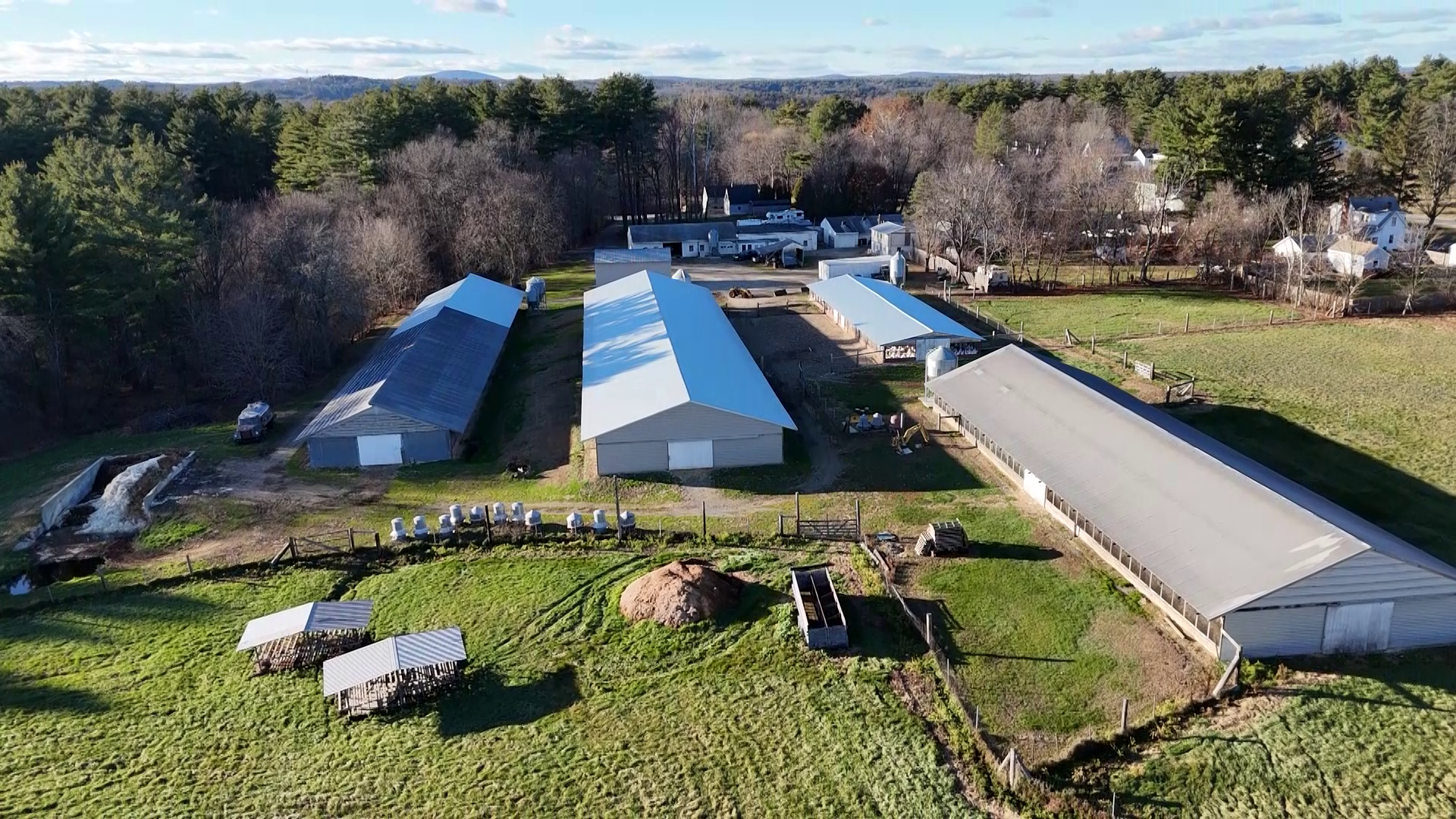 wcvb.com - Danae Bucci - Thanksgiving is busy season for this family turkey farm in Mass.