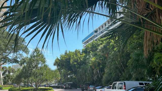 Woman's body found floating in Florida ocean - Vimarsana News