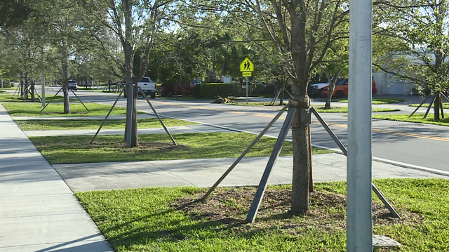 Boca Raton, Florida city council to vote whether to allow assisted living facilities in neighborhoods - Vimarsana News