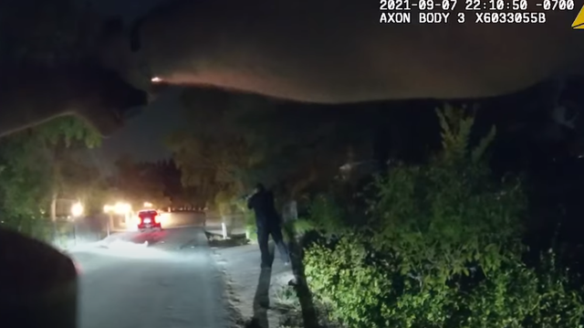 Sheriff's office releases body camera footage of carjacking suspect shot after hitting deputy with rock - Vimarsana News