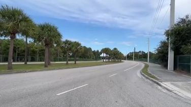 Man found dead by side of road in West Palm Beach, Florida - Vimarsana News