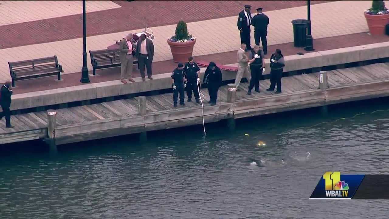 Missing Man's Body Recovered From Harbor, Police Say