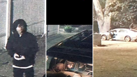 Bogalusa Police Department searching for suspect accused of car burglary