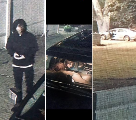 Bogalusa Police Department searching for suspect accused of car burglary