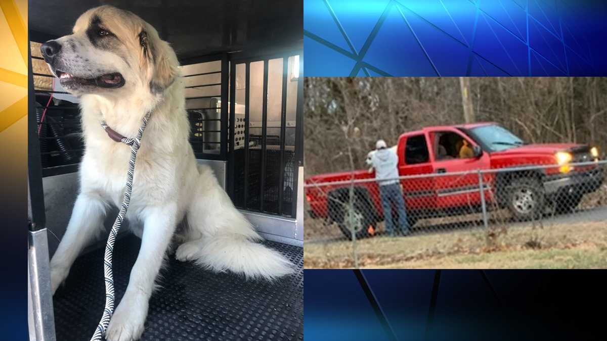 Bonner Springs Animal Control asking public’s assistance locating