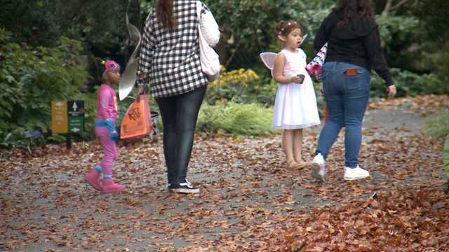 Halloween fun at Yew Dell Botanical Gardens in Crestwood - Vimarsana News