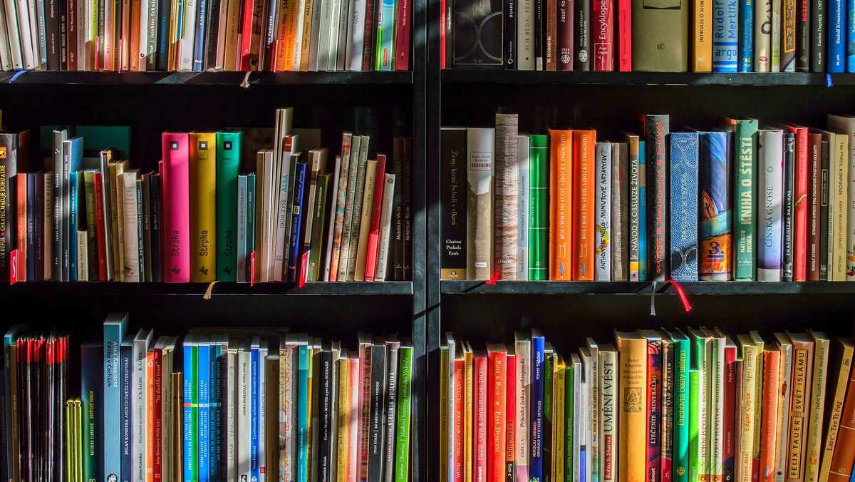 A Novel Idea: Nolapapa Free Book Fair Saturday