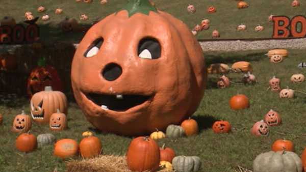 Don&#39;t get tricked: Louisville Zoo says someone selling fake tickets for sold-out Halloween event