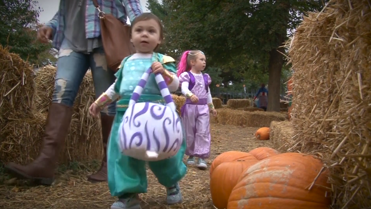 Louisville Zoo brings back annual Halloween festivities with COVID19