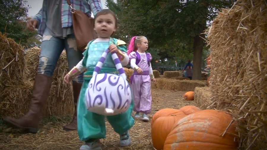 Tickets for Louisville Zoo's 2020 Halloween experience 'Boo at the Zoo