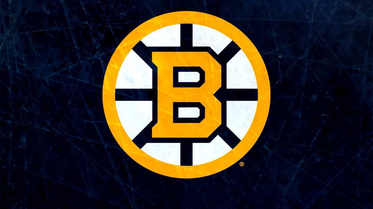 The Boston Bruins have unveiled their commemorative Centennial