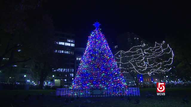 Holiday Lights 2022: Watch the lighting of Boston's official Christmas Tree - Vimarsana News