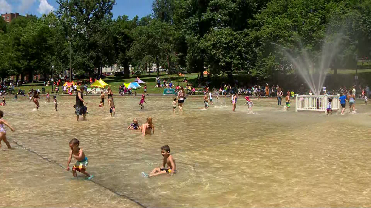 Boston frog pond opens up for summer 2022