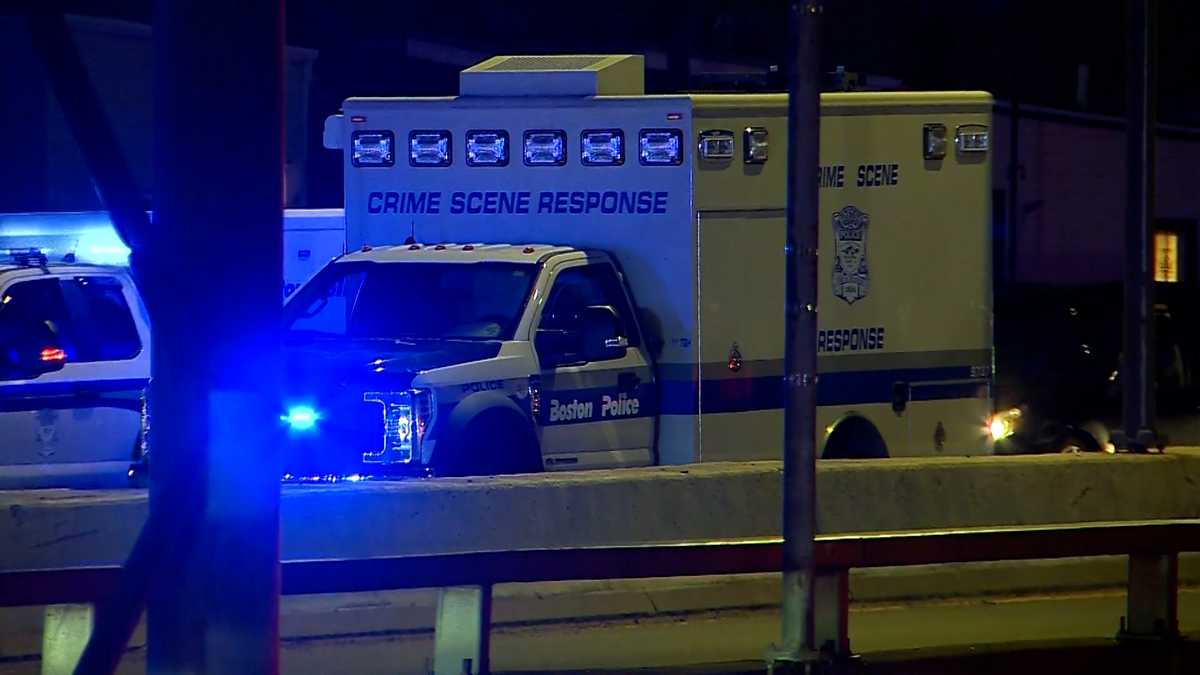 Pedestrian struck, killed on Route 1A in East Boston, police say