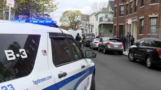 2 dogs shot, killed by Boston police after attacking officer, family says - Vimarsana News