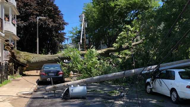 Large tree falls on transformer, knocking out power in Boston neighborhood