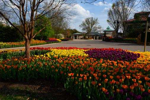 Photos: Cincinnati Zoo is in peak bloom, and it has never looked more ...