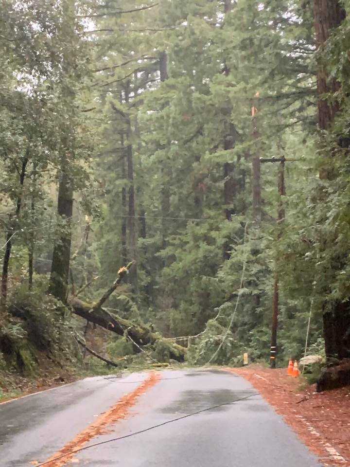 1 000 without power Highway 9 shutdown after tree falls on power