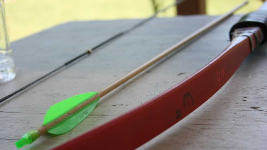 North Carolina: Elk dies after being shot by arrow