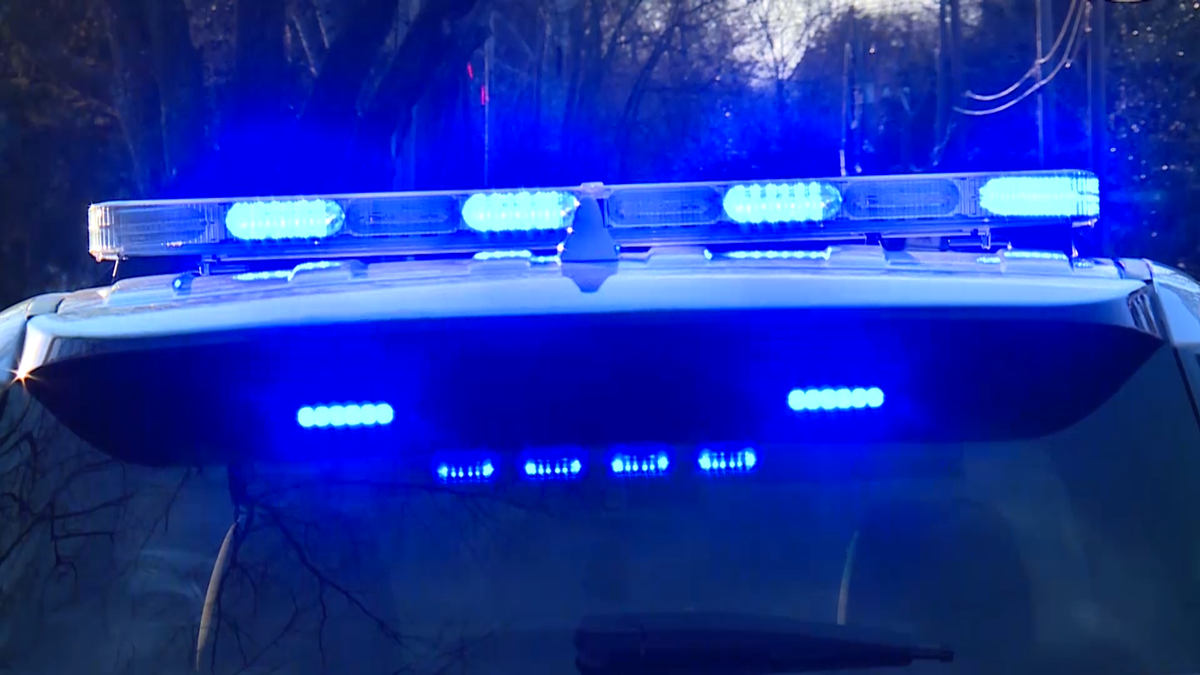 Shots fired into vehicle at MercedesBenz Vance facility