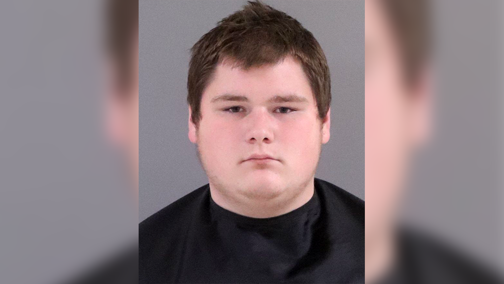South Carolina man arrested for sexually abusing children - WJCL