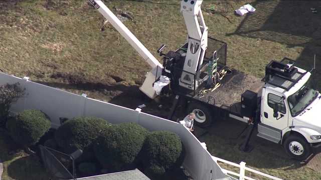 Worker tree worker suffers broken legs after bucket truck incident - Vimarsana News