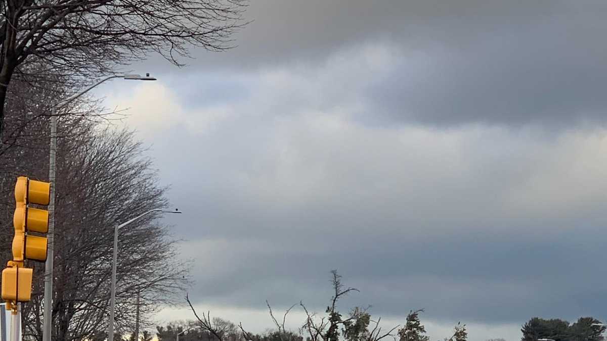 Strong winds bring down trees, crush vehicles, take out power lines