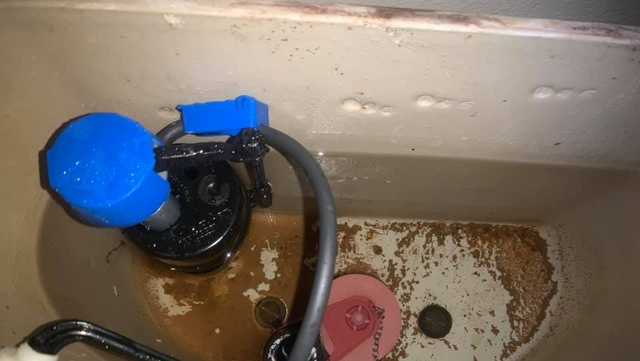 Some Osceola County residents still seeing yellow, resin-filled water - Vimarsana News