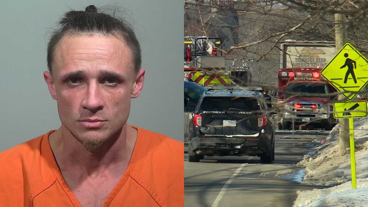 Maine man charged in Westbrook crash that killed dog, police say