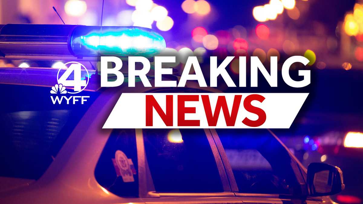 Chemical spill reported at South Carolina plant