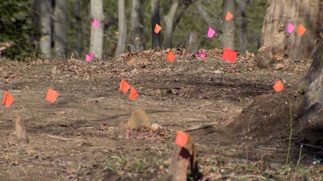 Bowie church discovers hundreds of enslaved persons' lost graves - Vimarsana News