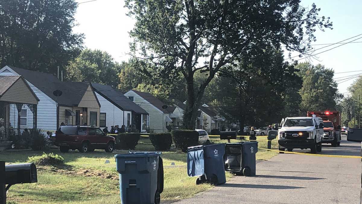 3yearold mauled to death by family dogs near Newburg, officials say