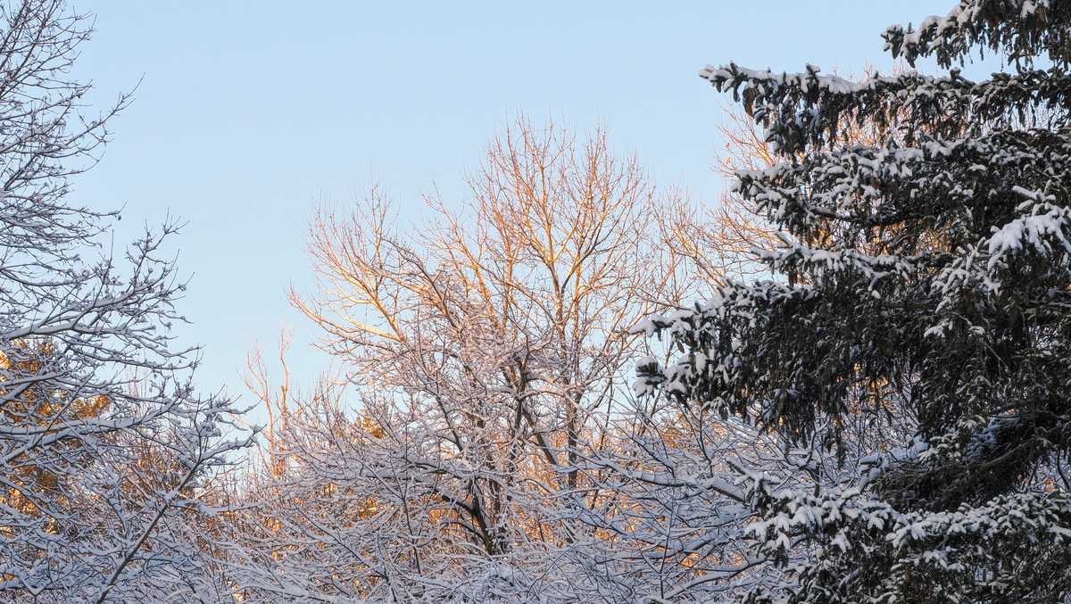 Snowfall totals from across Massachusetts on Monday, Jan. 20, 2025