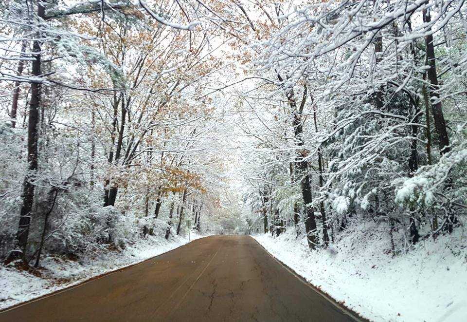 Viewers Share Pictures Of Mississippi Winter Wonderland